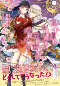 91fxP41IIpL._AC_UF1000,1000_QL80_